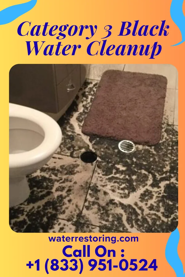 Category 3 Black Water Cleanup in Scranton, KS