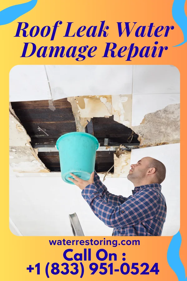 Roof Leak Water Damage Repair in Scranton, KS