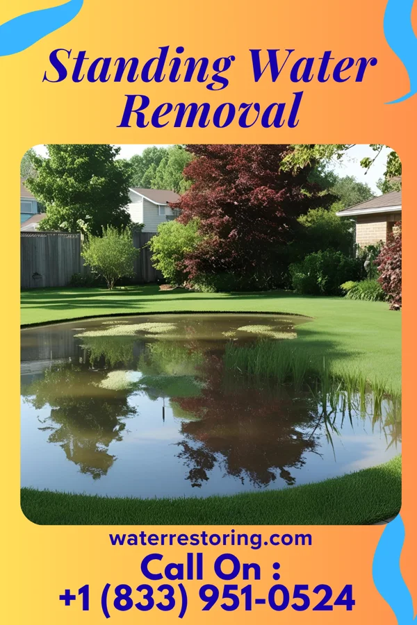 Standing Water Removal in Scranton, KS